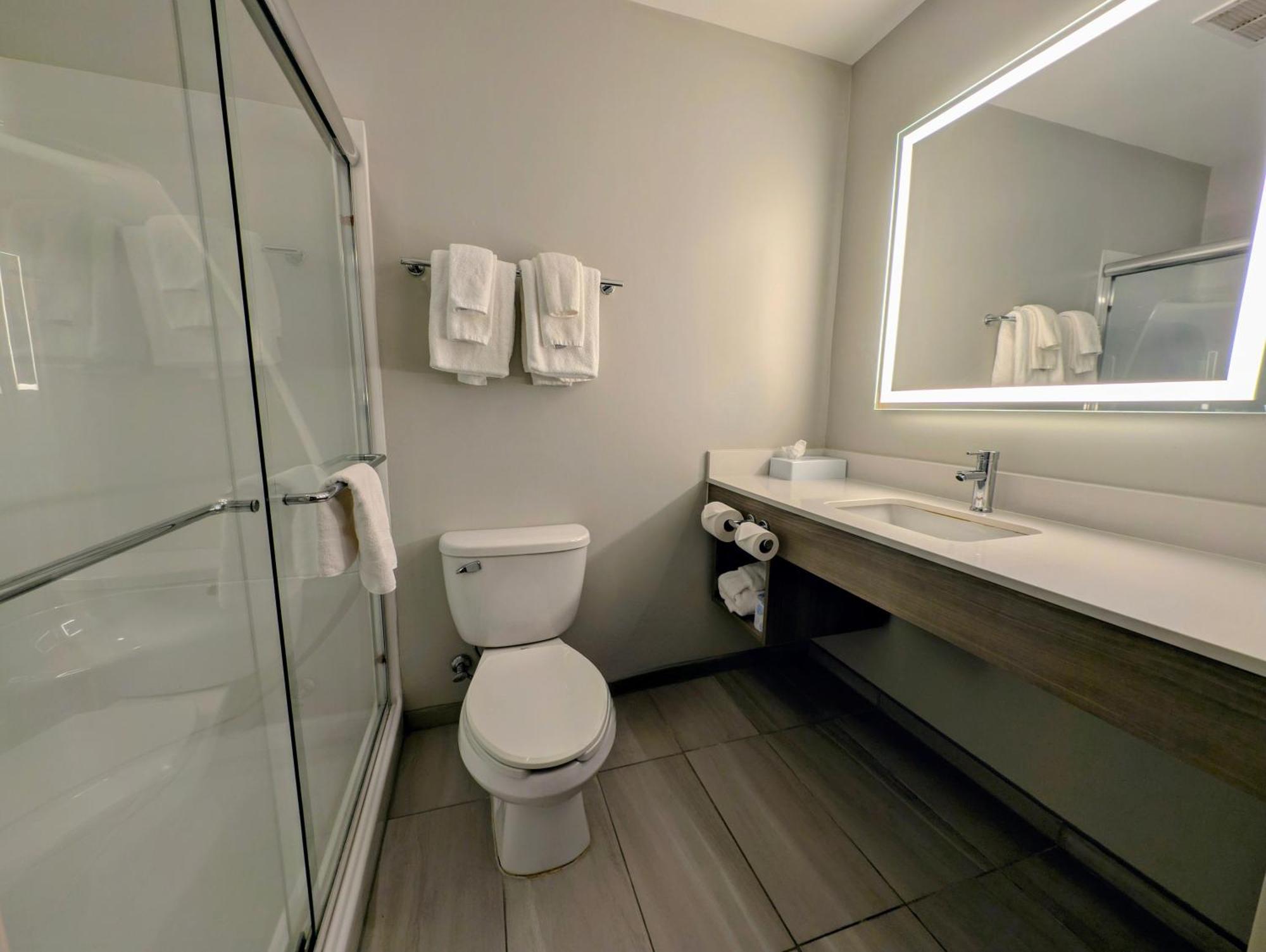 Holiday Inn Carbondale - Conference Center By Ihg Dış mekan fotoğraf